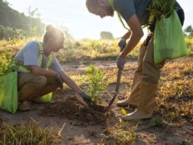 Agricoltori Sostenibili