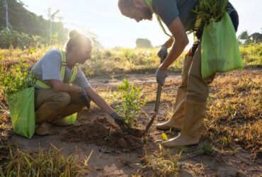 Agricoltori Sostenibili