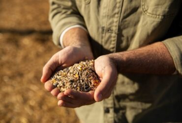Agricoltura Rigenerativa
