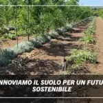 Agricoltura Rigenerativa