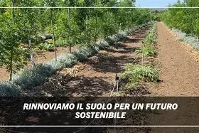 Agricoltura Rigenerativa