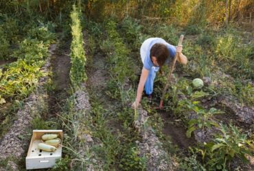 Agricoltura Rigenerativa