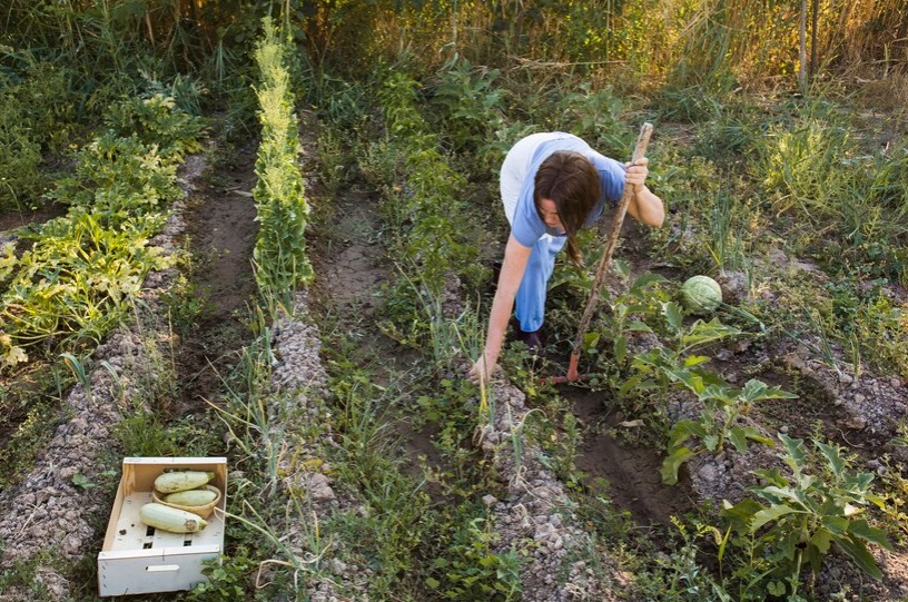 Agricoltura Rigenerativa