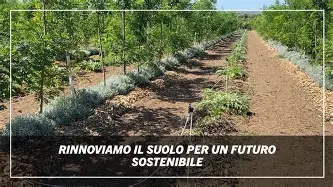 Agricoltura Rigenerativa