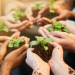 Agricoltura Sostenibile e Salute Pubblica