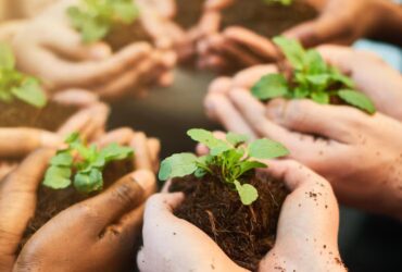 Agricoltura Sostenibile e Salute Pubblica