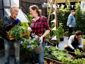 Come le Cooperative Possono Cambiare il Volto dell'Agricoltura