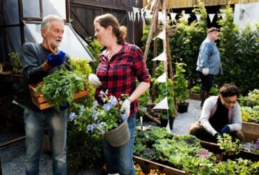 Come le Cooperative Possono Cambiare il Volto dell'Agricoltura