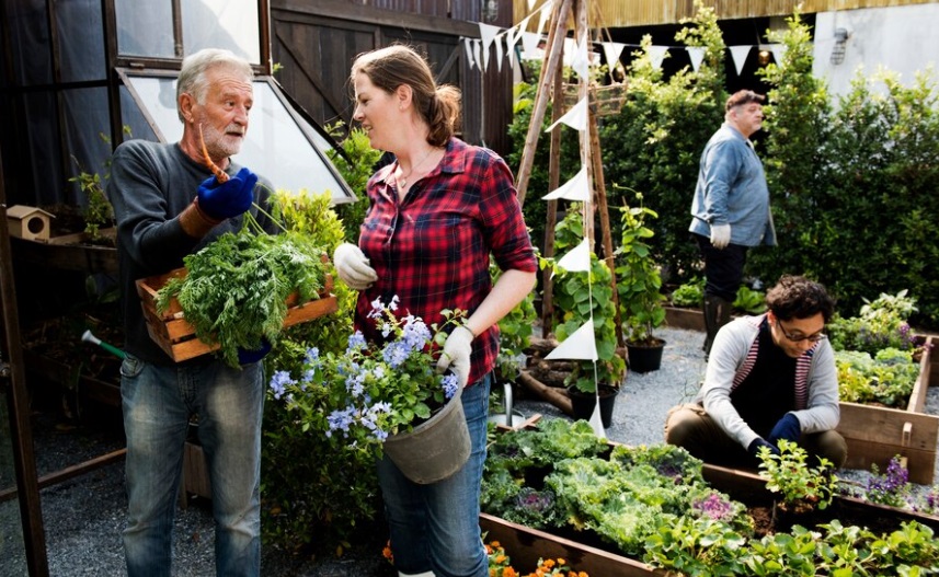 Come le Cooperative Possono Cambiare il Volto dell'Agricoltura