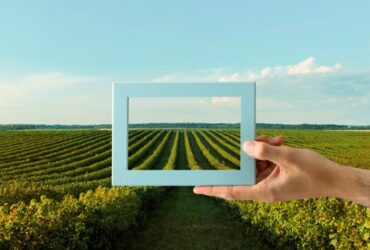 Agricoltura del Futuro