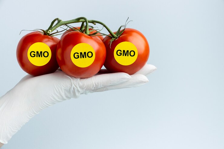 Alimenti GMO