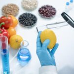 Alimenti Geneticamente Modificati