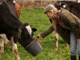 Esperienze Uniche nel Nostro Agriturismo