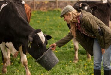 Esperienze Uniche nel Nostro Agriturismo