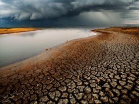 Cambiamento Climatico