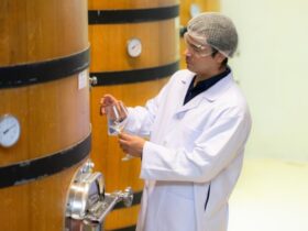 Chimica Applicati alla Fermentazione del Vino