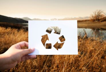 Conservazione Post-Raccolta