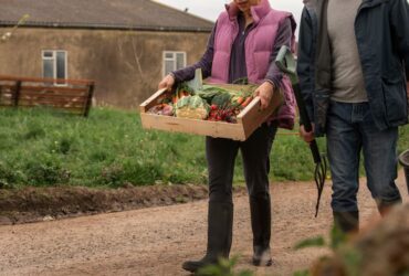 Dal Campo alla Tavola: Storie di Agricoltura Sostenibile