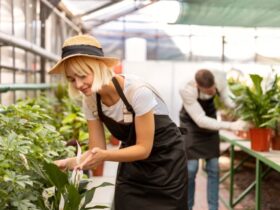 Gestione Sostenibile delle Risorse Naturali in Agricoltura