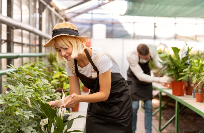 Gestione Sostenibile delle Risorse Naturali in Agricoltura