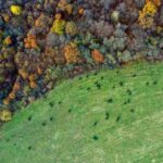 Le Mani nella Terra: Corsi di Giardinaggio e Coltivazione