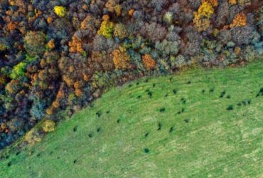 Importanza delle Aree Protette per la Conservazione delle Specie Vegetali