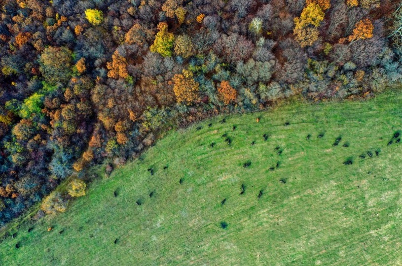 Le Mani nella Terra: Corsi di Giardinaggio e Coltivazione