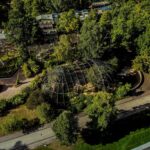 Foreste Alimentari Urbane