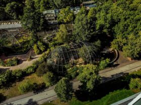 Foreste Alimentari Urbane