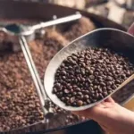 Il viaggio nel mondo del caffè artigianale