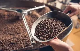 Il viaggio nel mondo del caffè artigianale