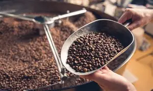 Il viaggio nel mondo del caffè artigianale