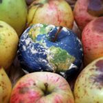 Impatti Ambientali delle Nostre Scelte Alimentari