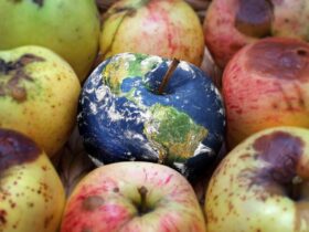 Impatti Ambientali delle Nostre Scelte Alimentari