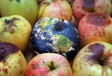 Impatti Ambientali delle Nostre Scelte Alimentari