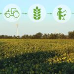 Importanza delle Zone Buffer nelle Aziende Agricole Biologiche