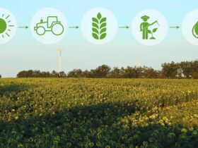 Importanza delle Zone Buffer nelle Aziende Agricole Biologiche