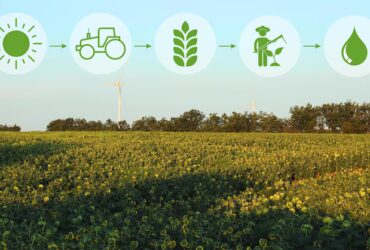 Importanza delle Zone Buffer nelle Aziende Agricole Biologiche