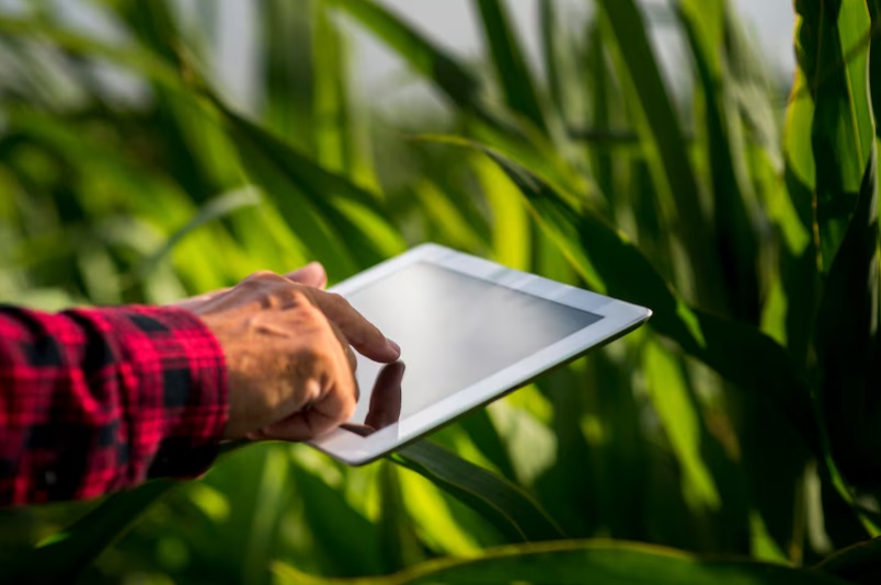 Innovazione in Agricoltura