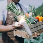 Innovazioni nella Conservazione degli Alimenti