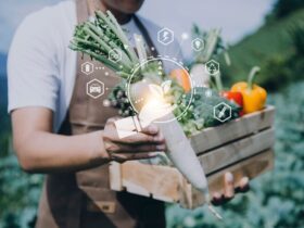 Innovazioni nella Conservazione degli Alimenti