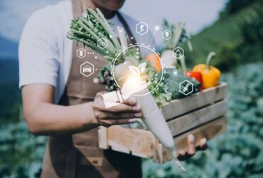 Innovazioni nella Conservazione degli Alimenti