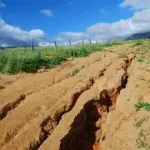 L'Erosione del Suolo: Una Minaccia Silenziosa all'Agricoltura