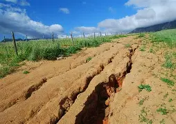 L'Erosione del Suolo: Una Minaccia Silenziosa all'Agricoltura