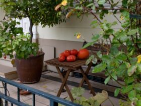 L'Orto sul Balcone