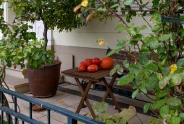 L'Orto sul Balcone