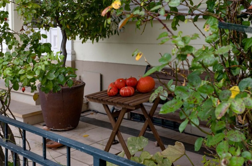 L'Orto sul Balcone