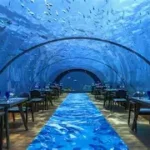 La magia dei ristoranti sottomarini