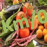 La rivoluzione del cibo a km zero