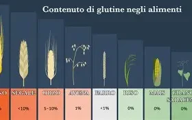La scienza dietro i prodotti senza glutine